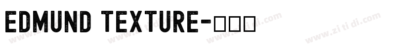 Edmund Texture字体转换